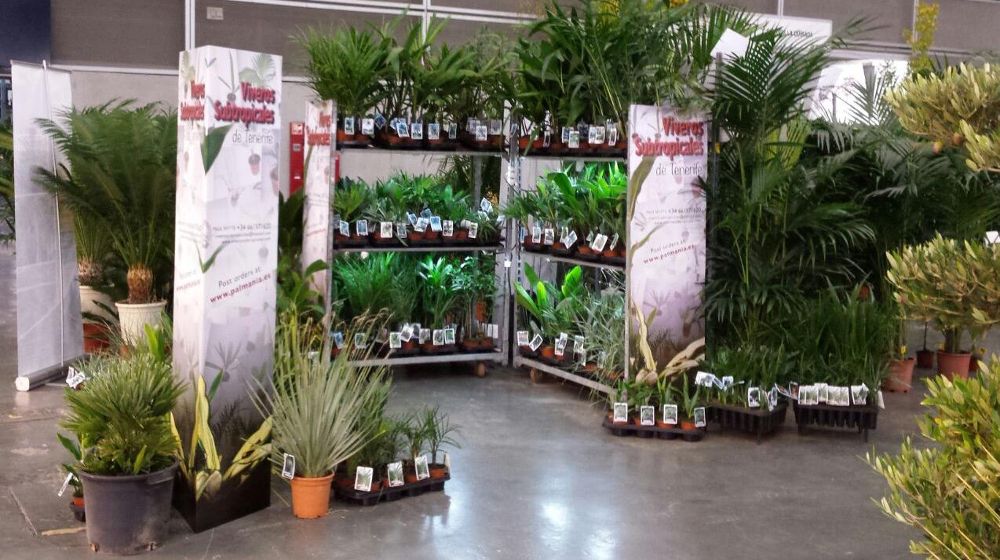 Exposición de plantas canarias en la última edición de Iberflora.