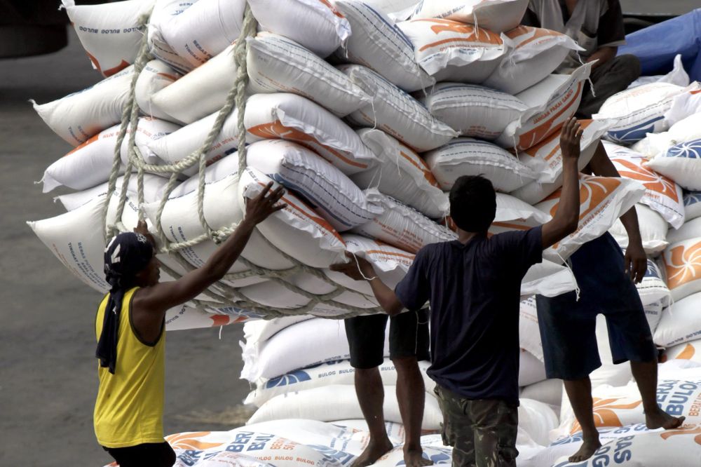 Indonesia importará 1,5 millones de toneladas de arroz por el impacto metereológico de El Nino.