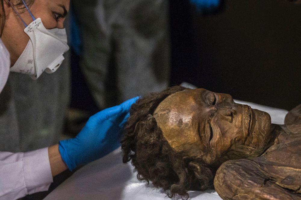 El Museo Arqueológico acoge desde hoy la momia guanche del Barranco de Herques.