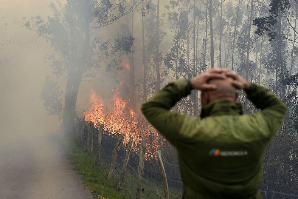 Uno de los incendios forestales en los montes próximos a la localidad cántabra de Viernoles. 