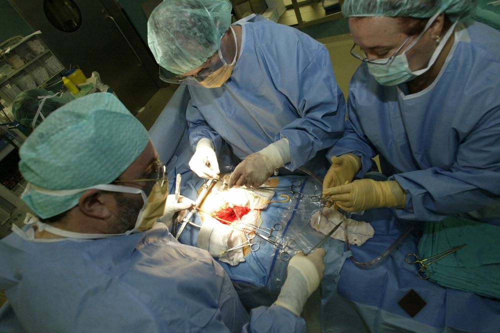 Trasplante de riñón en el HUC, en enero de 2015.