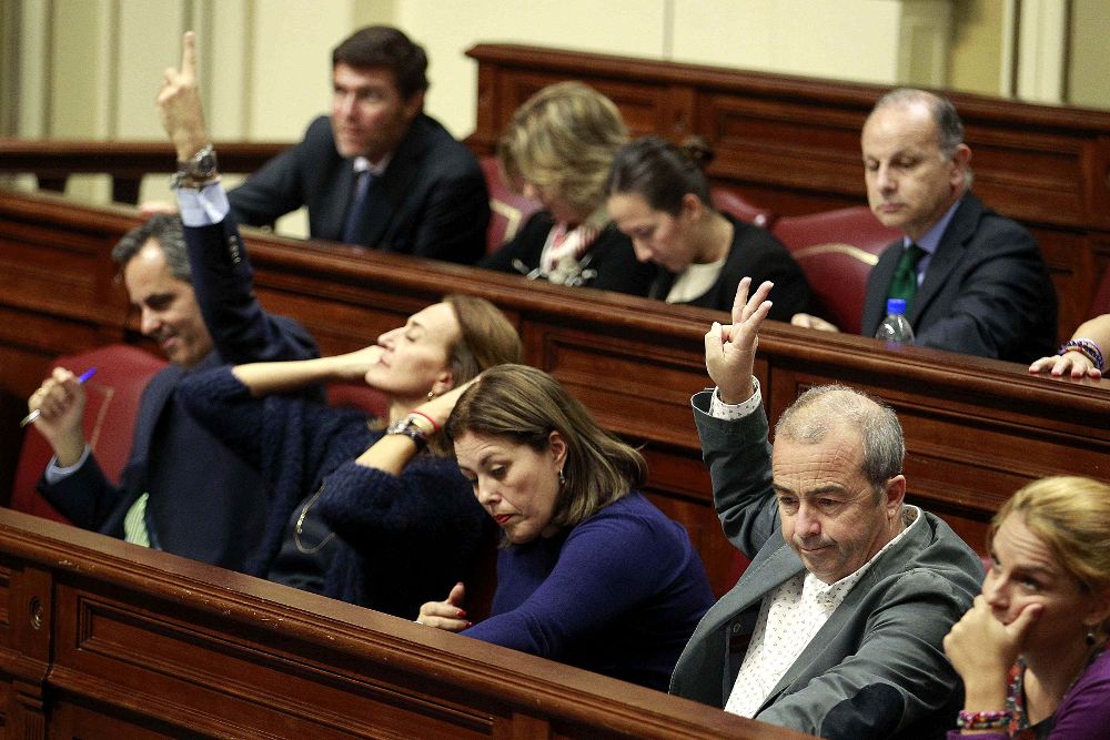 El diputado de Podemos Francisco Déniz (2d) indica el sentido del voto a sus compañeros de grupo durante un votación en el Parlamento de Canarias.