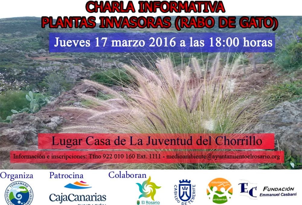 Cartel de una jornada de sensibilización organizada por el Ayuntamiento de El Rosario sobre la importancia de erradicar el rabo de gato, quizás la planta invasora más popular en Canarias.
