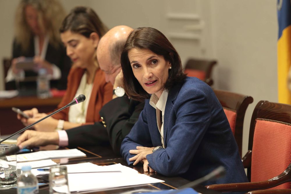 La consejera María Teresa Lorenzo en una comisión parlamen taria.EFE