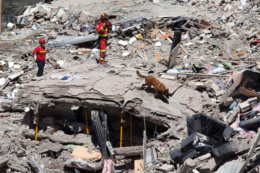 Miembros de la Unidad Militar de Emergencias pasan un perro en busca de personas que puedieran quedan bajo los escombros del edificio que ayer se derrumbó en el centro de Los Cristianos.