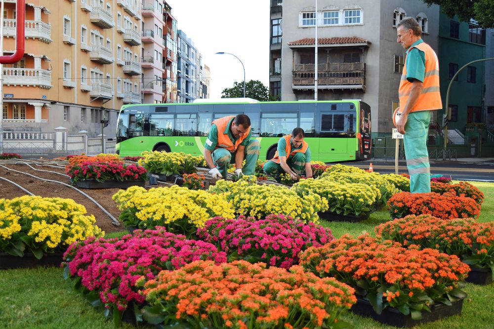 La feria coincide con la plantación de 55.000 flores en las zonas ajardinadas de la ciudad.