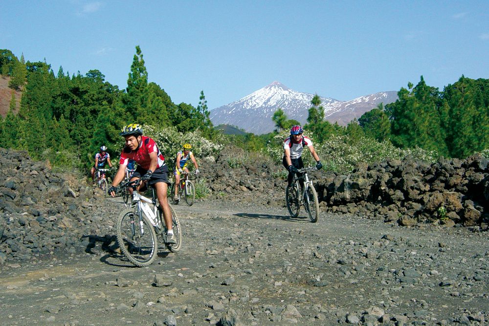 Bicicleta de montaña, una de las actividades preferiddas del turista activo.