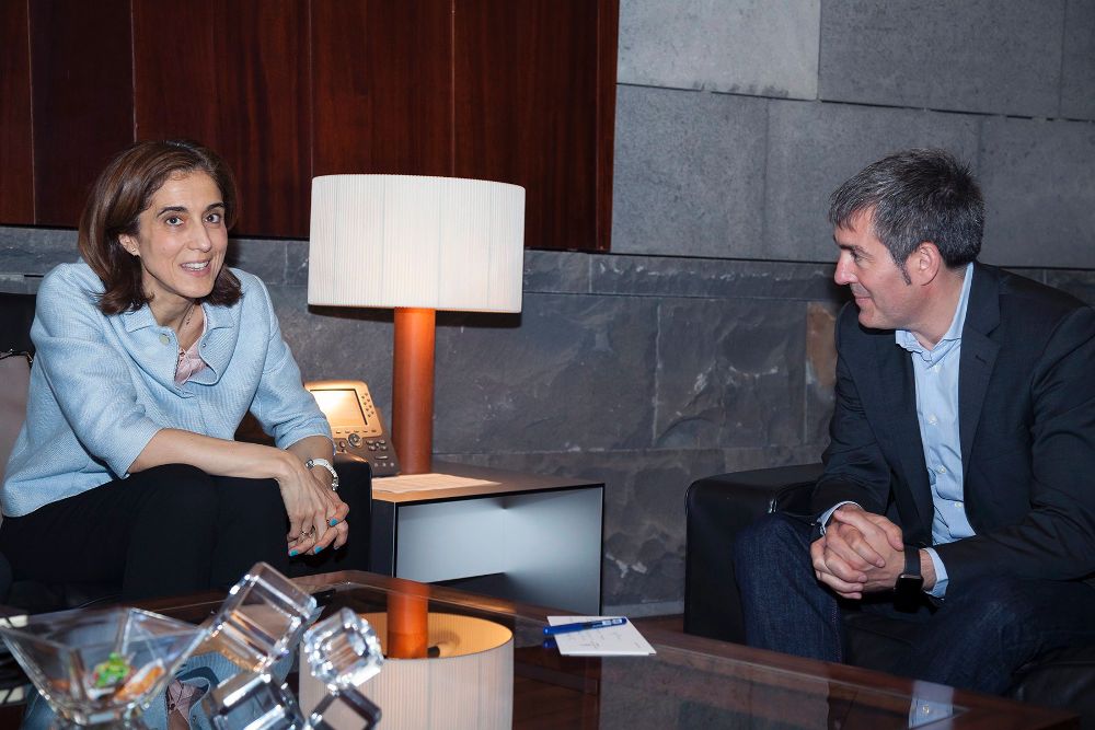 El presidente del Gobierno de Canarias, Fernando Clavijo, durante la reunión que ha mantenido con la presidenta de Microsoft Ibérica, Pilar López, hoy en la sede de Presidencia del Gobierno de Canarias, en Santa Cruz de Tenerife.