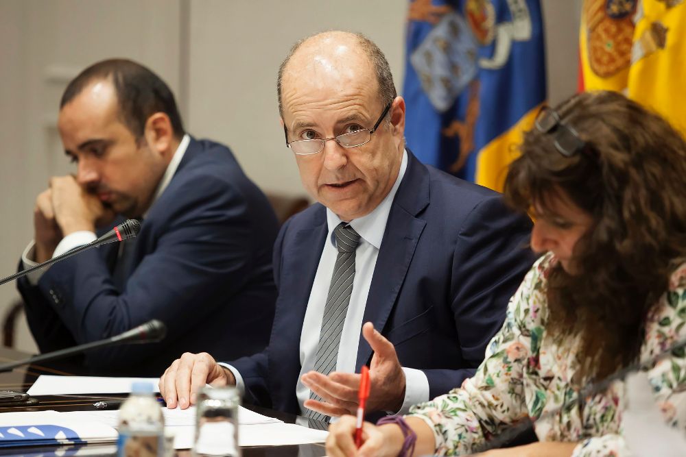 El consejero de Economía, Industria, Comercio y Conocimiento del Gobierno de Canarias, Pedro Ortega (c).