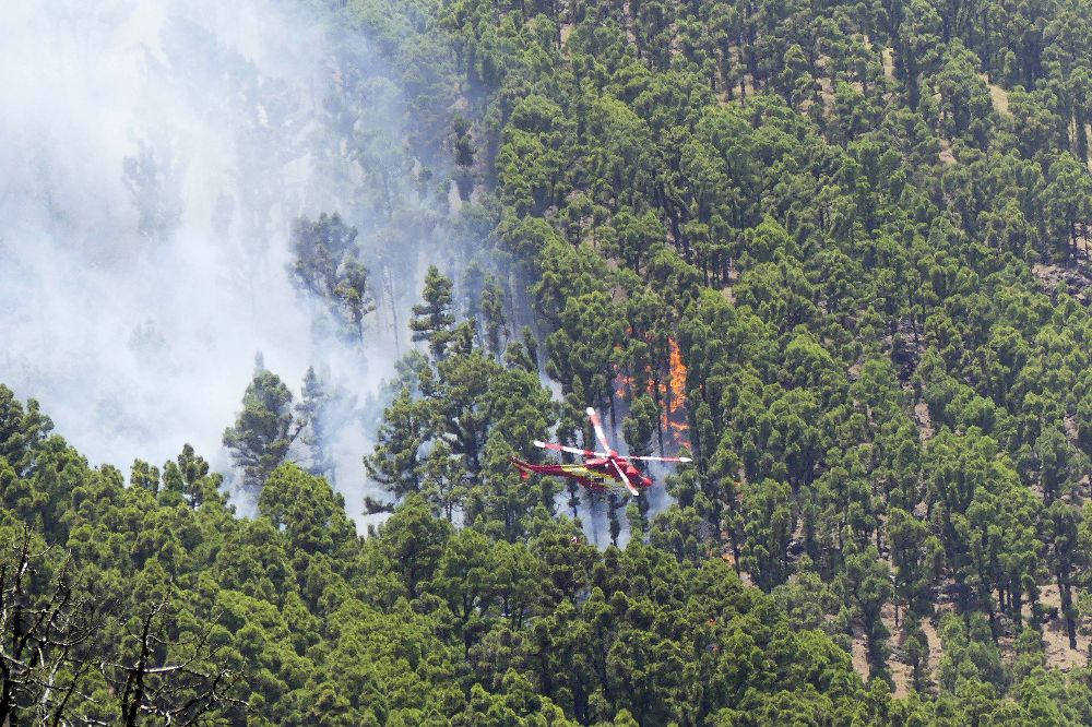 El incendio forestal que desde el miércoles afecta a La Palma sigue afectando al municipio de Villa de Mazo, donde entró la pasada noche, pero no ha llegado a los núcleos de población de la localidad. 