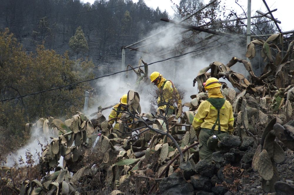 Imagen de archivo del incendio de 2009.