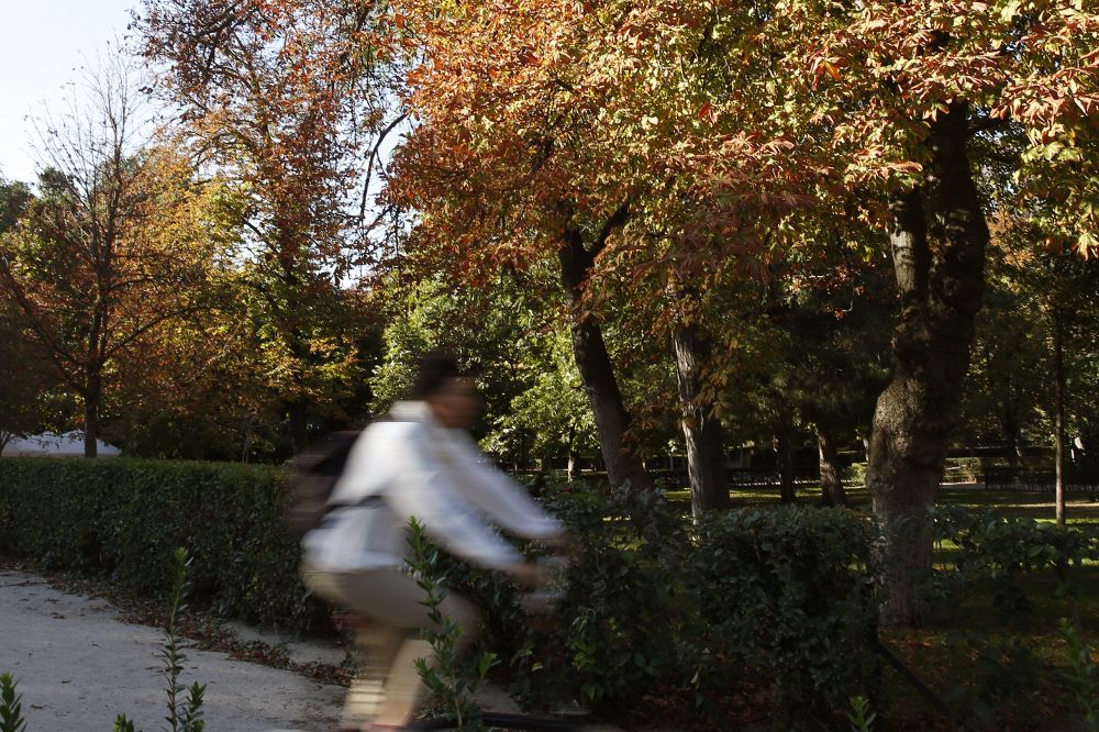 Un ciclista apura las últimas horas del verano en el parque del Retiro (Madrid).