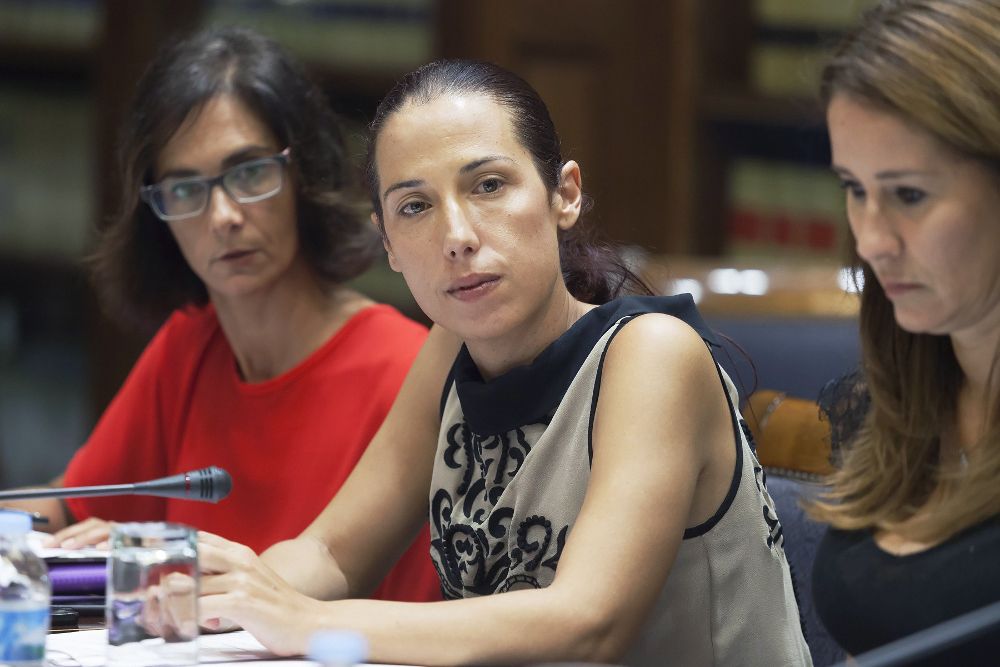 La vicepresidenta del Gobierno de Canarias, Patricia Hernández, durante la comisión parlamentaria de Empleo, Politicas Sociales y Vivienda.