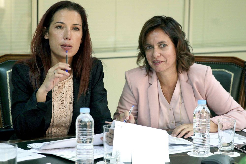 La vicepresidenta del Gobierno de Canarias, Patricia Hernández (i), junto a la directora general de Trabajo, Ana Fernández Machado, durante la reunión del Consejo Canario de Relaciones Laborales.