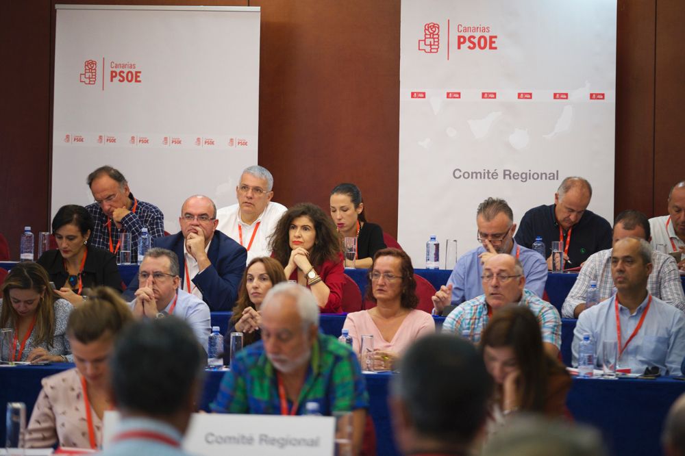 Comité Regional del PSC, celebrado hoy en Las Palmas de Gran Canaria.