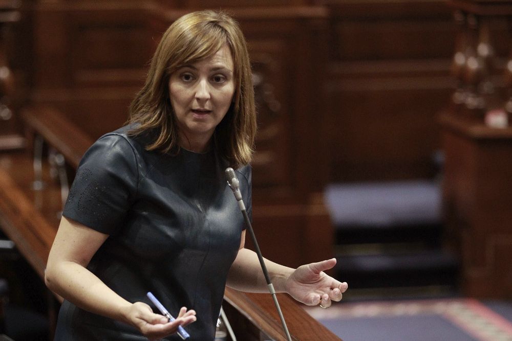 La consejera de Política Territorial del Gobierno de Canarias, Nieves Lady Barreto, durante una de sus intervenciones ante el pleno del Parlamento regional.