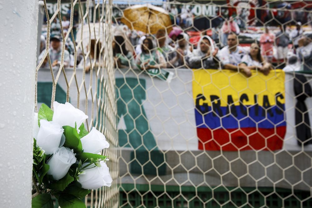 Cientos de aficionados del club brasileño Chapecoense en las gradas del estadio arena Conda en Chapeco hoy, sabado 3 de diciembre de 2016, donde se celebrará el funeral de los jugadores y miembros del equipo técnico del club Chapecoense muertos en el accidente aéreo en Colombia.