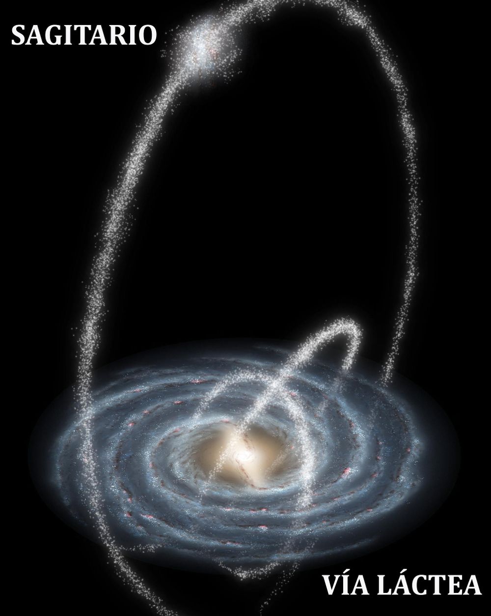 Recreación artística que muestra la galaxia enana de Sagitario orbitando la Vía Láctea. Este proceso caníbal provoca que Sagitario pierda una importante cantidad de estrellas y se generen estructuras estelares denominadas corrientes de marea. Crédito de la imagen original: NASAJPL-CaltechR. Hurt (Spitzer Science Center).