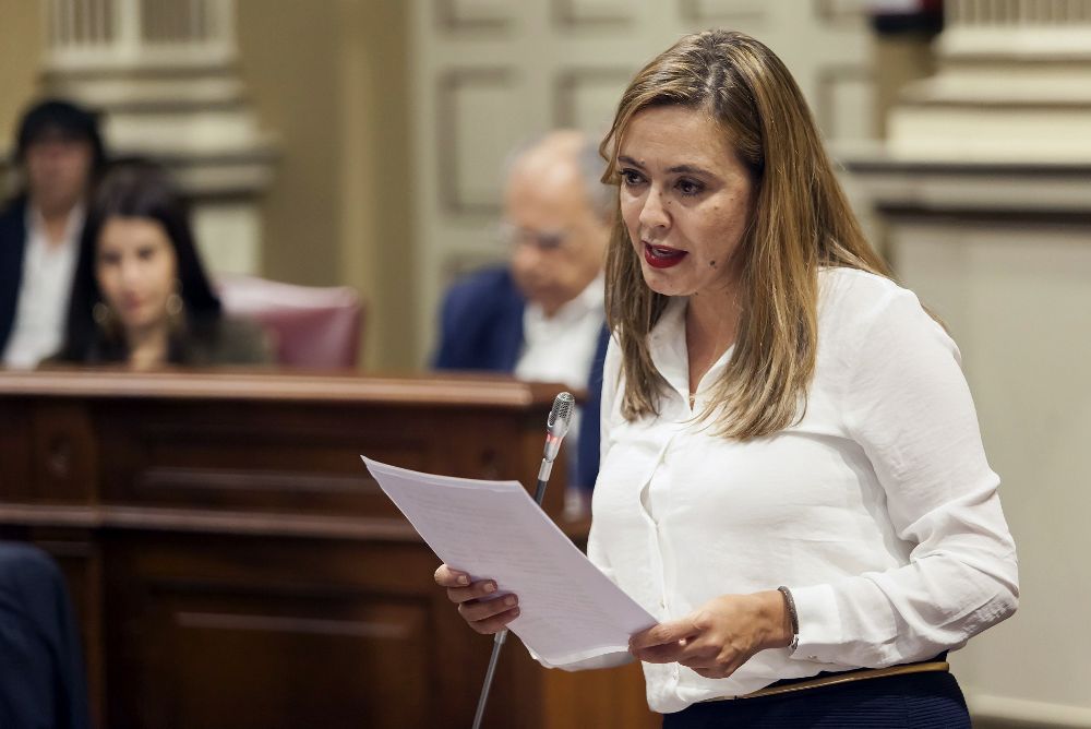 La diputada socialista María Dolores Corujo, se dirige la presidente del Gobierno canario hoy durante el pleno del Parlamento de Canarias.
