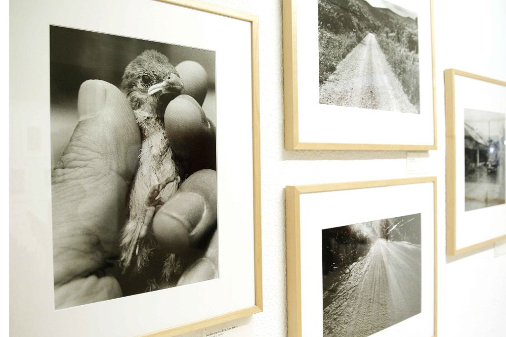 Algunas de las fotografías que componen la exposición "Tohoku, la mirada de nueve fotógrafos japoneses".