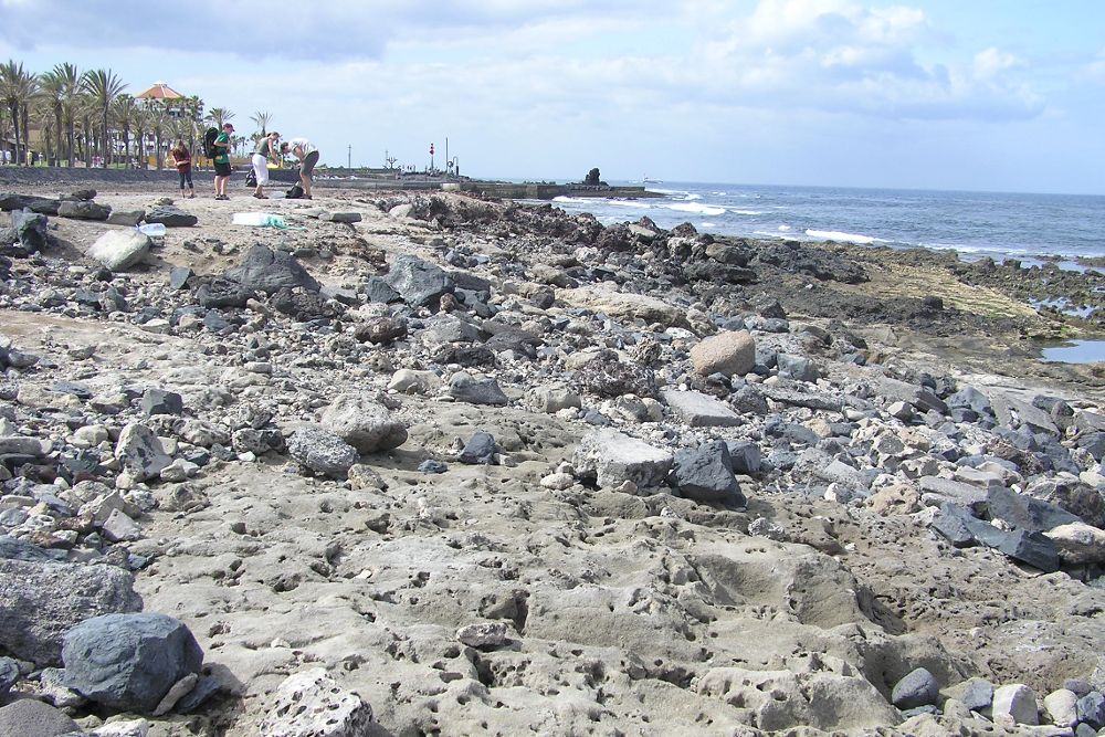 La playa del Búnker-El Guincho, en Arona, es un yacimiento paleontológico que no aparece en el PMM de Las Américas.