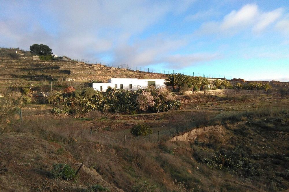 Una treintena de casas diseminadas en la zona alta de Arico forman el caserío desde hace más de un siglo.