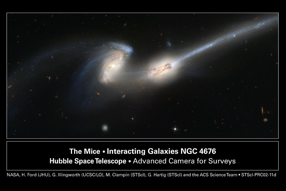 La imagen, obtenida con el Telescopio Espacial Hubble, muestra dos galaxias espirales en interacción, conocidas como “los ratones” por las largas colas de marea que se han formado como fruto del choque entre las mismas. Ambas galaxias albergan núcleos activos y se encuentran a unos 300 millones de años luz de nosotros. NASA, H. FORD (JHU), G. ILLINGWORTH (UCSCLO), M.CLAMPIN (STSCI), G. HARTIG (STSCI), THE ACS SCIENCE TEAM, AND ESA.