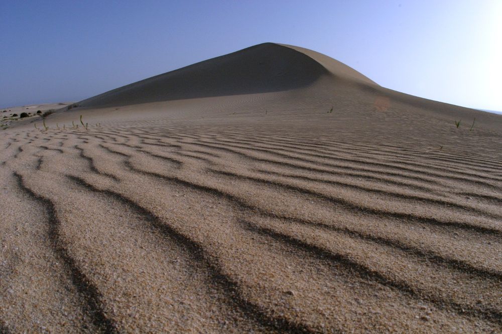 Las dunas de Corralejo, uno de los paisajes más singulares de la isla.