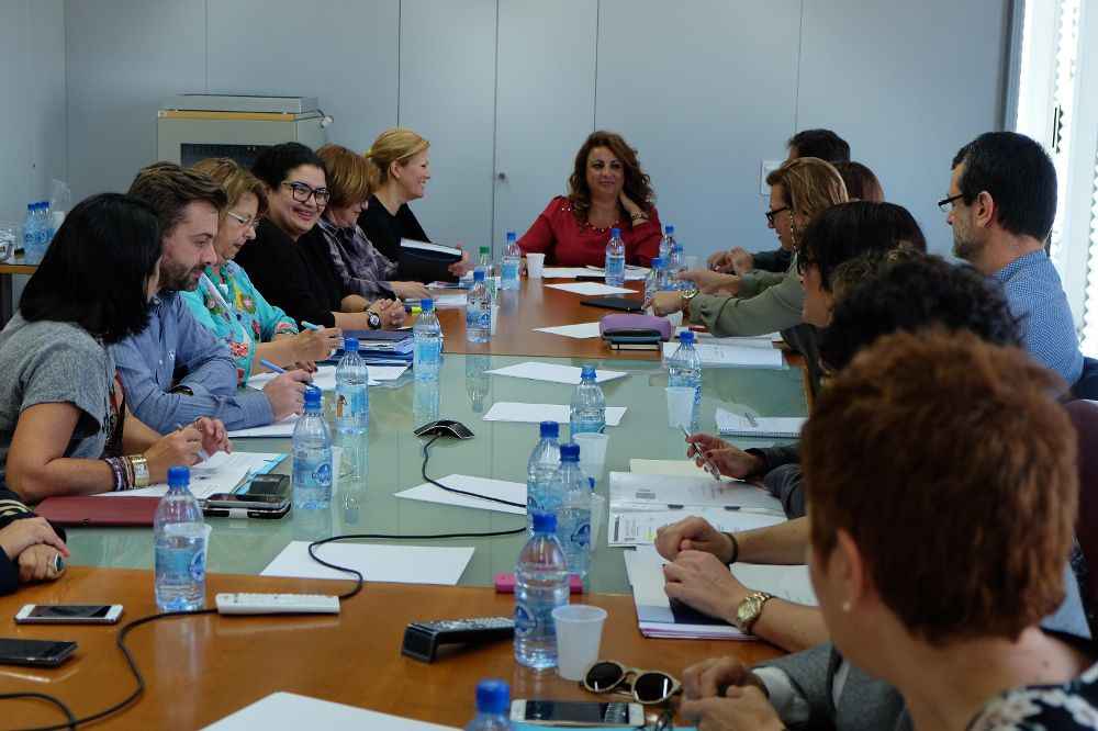 Cristina Valido se reunió con la Fecai en la Comisión de Bienestar Social.