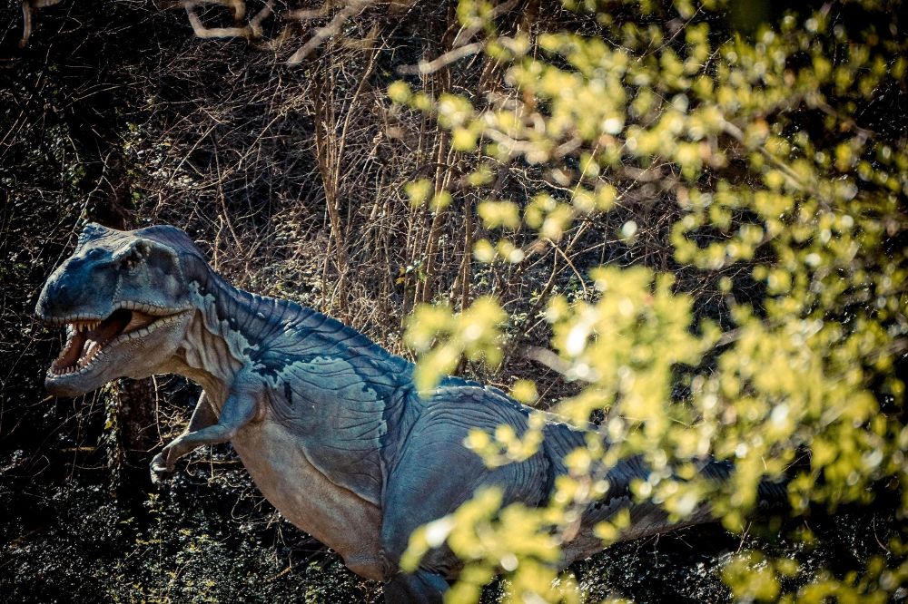 Recreación de un dinosaurio durante la exposición jurásica 'Dinosauri in carne ed ossa' (lit. Dinosaurios en carne y hueso) en el Parque Reserva Natural de Astroni, en Nápoles (Italia).
