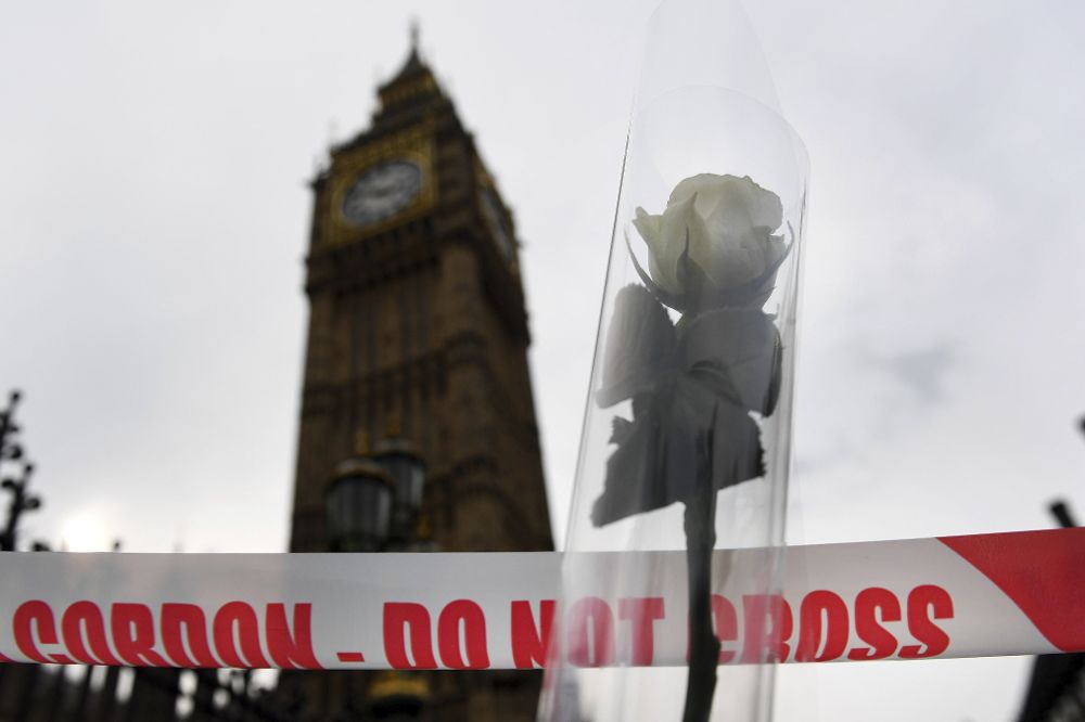 Vista de una rosa blanca depositada cerca del Parlamento en Londres, Reino Unido.