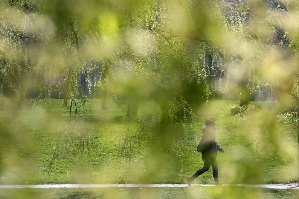 Una persona pasea por el parque de Yamaguchi de Pamplona.