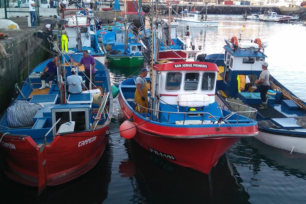 Barcos pesqueros en el puerto de Santa Cruz de La Palma.