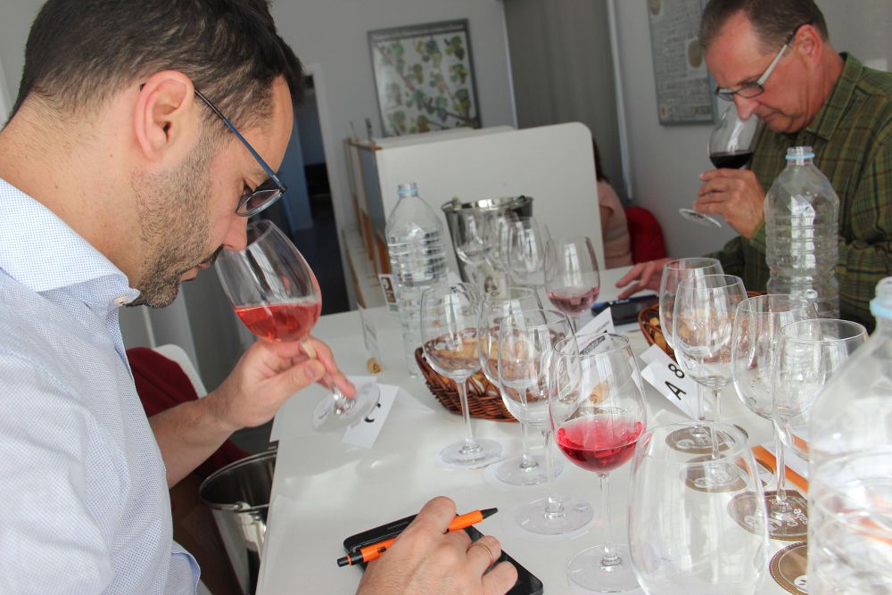 Catas en el transcurso del concurso para elegir el mejor vino en esta edición de Agrocanarias.