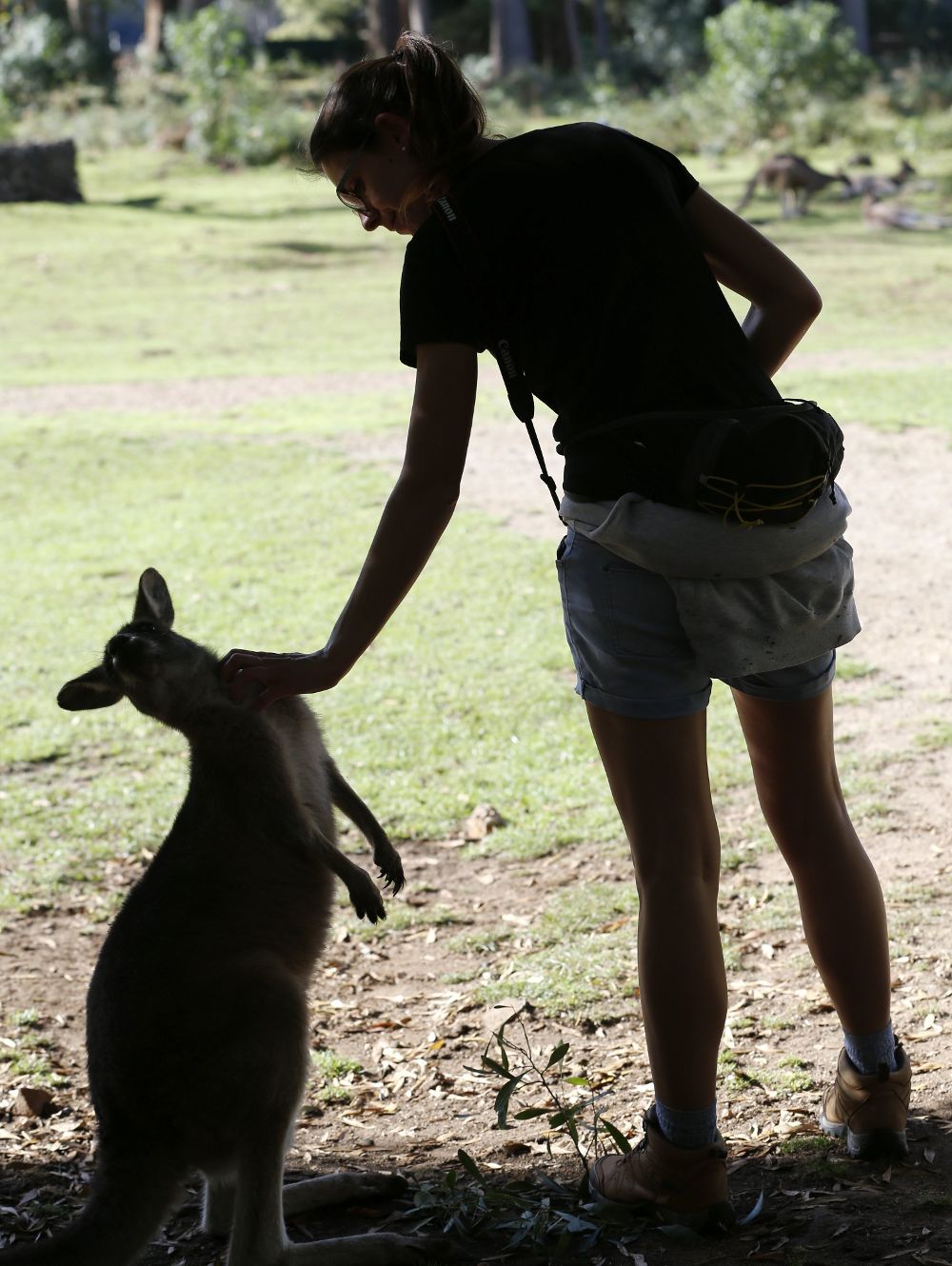 Humanos y canguros juntos en una reserva australiana.