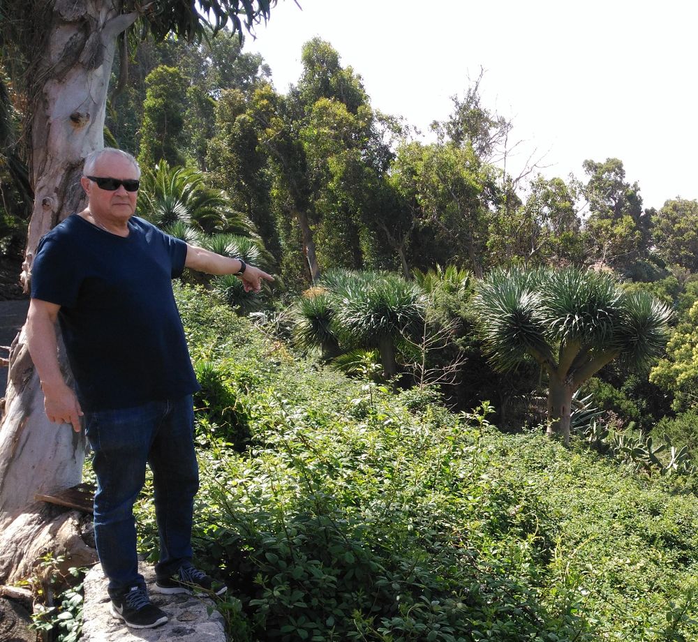 Fernando Palmero, presidente de la asociació nde vecinos, señala la barrera vegetal que impide las vistas.