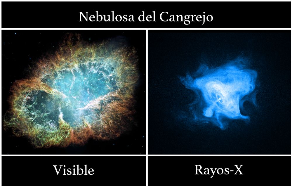 Imágenes de la Nebulosa del Cangrejo tomadas en rayos-X y el visible con los telescopios espaciales Chandra (derecha) y Hubble (izquierda), respectivamente. Mientras que en el visible observamos el material expulsado en la explosión de supernova, en rayos-X vemos la estrella de neutrones resultante de dicha explosión (zona central) y el gas más caliente. Solo observando en todas las energías obtenemos la información más completa haciendo así posible el avance en nuestro conocimiento del Universo. imágenes originales: (visible) NASAESAASU, J. Heste y A. Loll; (rayos-X) NASACXCSAO, F. Seward y colaboradores. montaje: Montserrat Armas Padilla. 