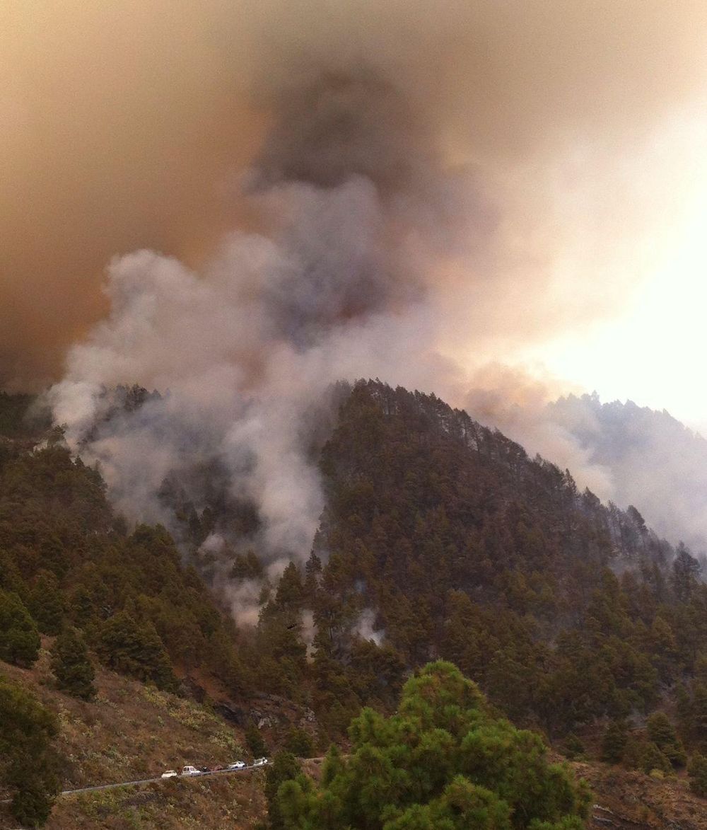 Imagen del último incendio forestal que sufrió la isla.