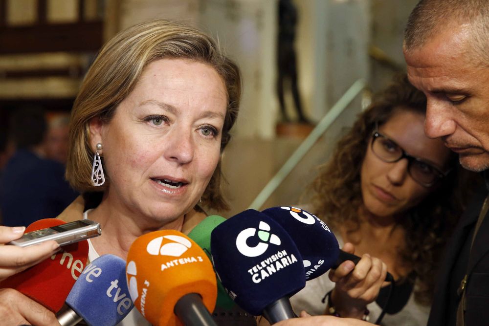 La diputada nacional de Coalición Canaria, Ana Oramas, atiende a los medios de comunicación, hoy.