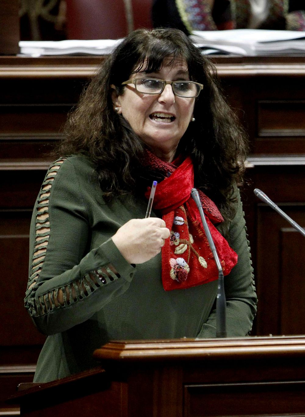 Concepción Monzón en el Parlamento canario.