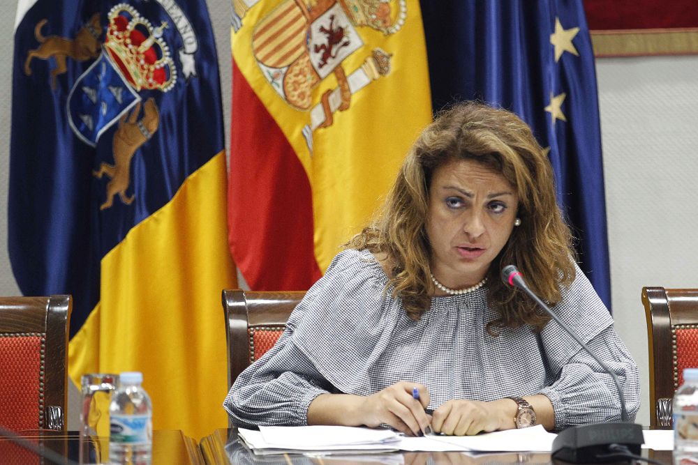 La consejera de Empleo y Asuntos Sociales del Gobierno de Canarias, Cristina Valido.