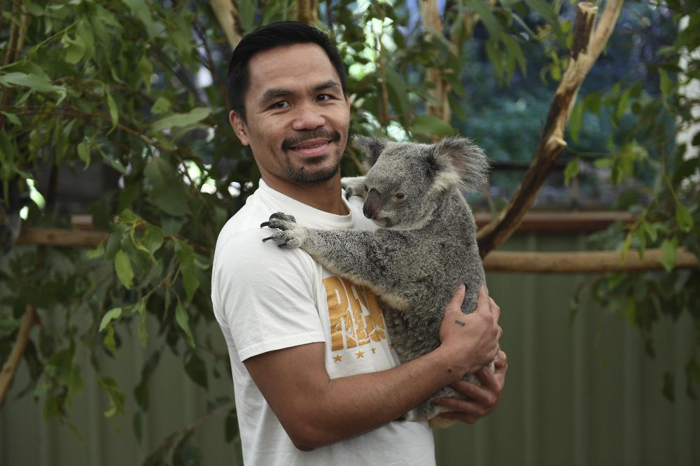 El boxeador filipino Manny Paquiao (i) posa con un koala.