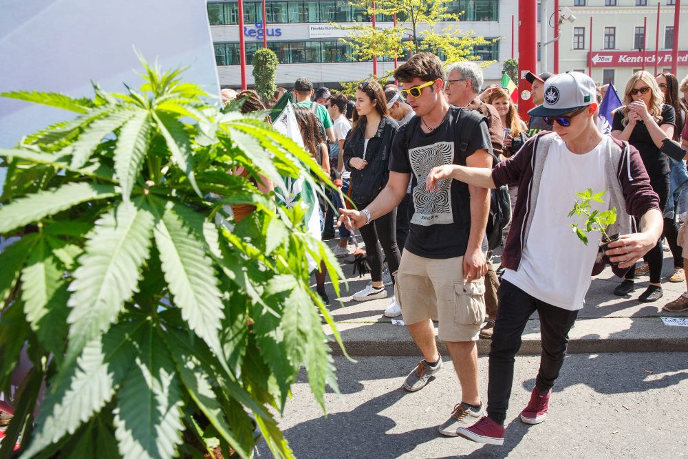 Participantes en Viena en la Global Cannabis March celebrada el pasado 6 de mayo.