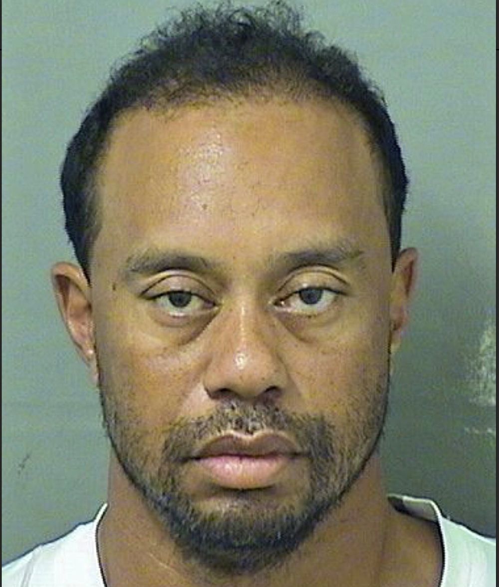 Foto del condado Palm Beach que muestra al golfista tras su arresto.