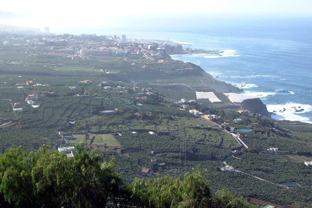 Vista general del paraje de El Rincón, en pleno Valle de La Orotava.