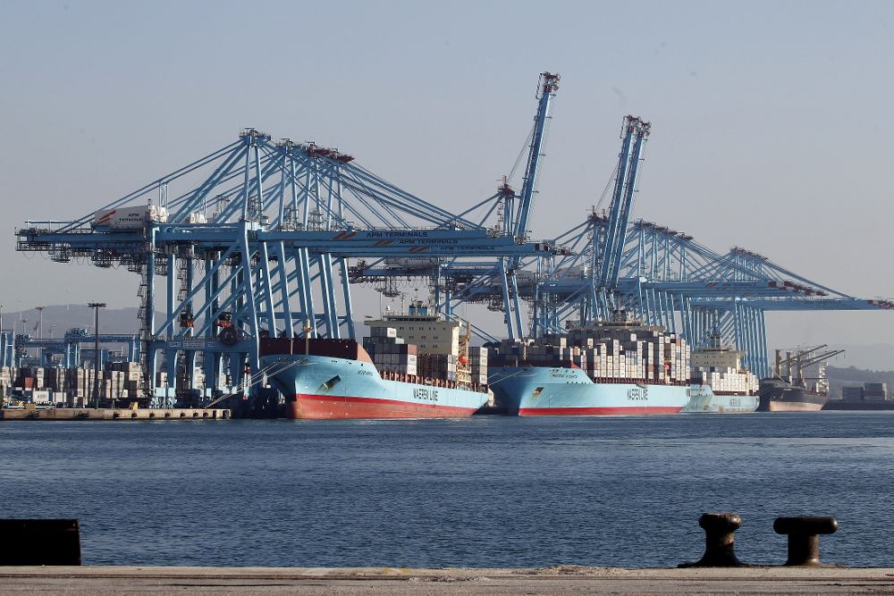 La terminal de Maersk esta mañana en la segunda jornada de huelga de los estibadores que llega con mayor actividad prevista en el puerto de Algeciras (Cádiz), el de mayor volumen de tráficos de España.