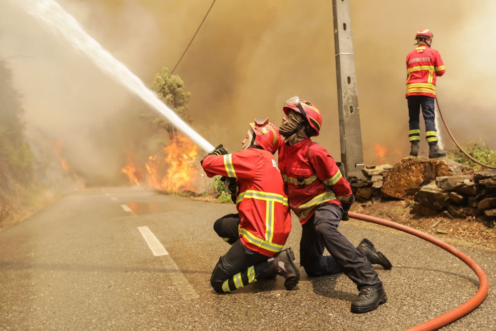 Varios bomberos portugueses combaten el fuego en Sandinha (Portugal) hoy, 20 de junio.