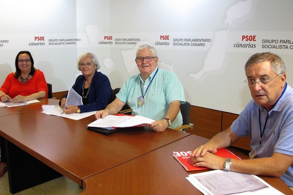 Comisión Regional de Etica de PSOE Canarias.