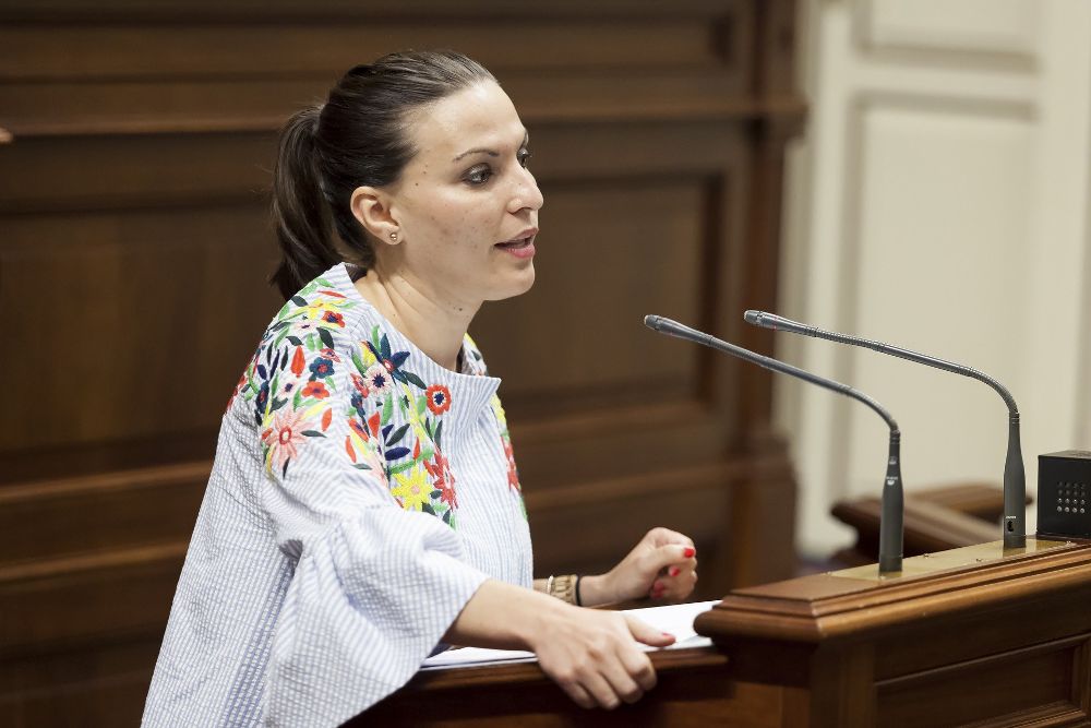 La diputada del grupo Nacionalista Canario, Migdalia Machín, interviene en el pleno del Parlamento de Canarias celebrado hoy.