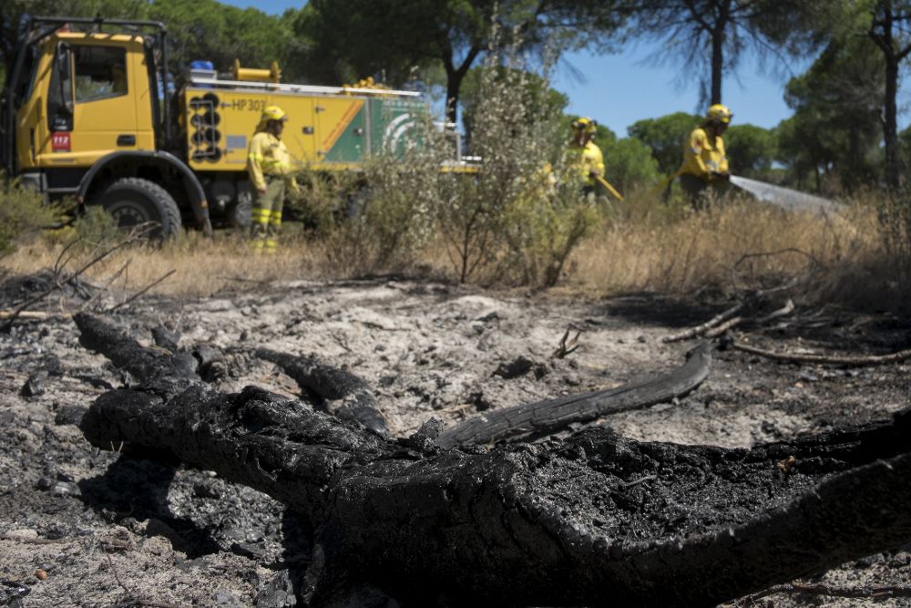 Efectivos del Infoca realizan labores de refresco tras el incendio forestal declarado el pasado sábado en el paraje La Peñuela, de Moguer (Huelva), que ha afectado a una amplia superficie de masa forestal del entorno de Doñana e incluso parte del parque natural.